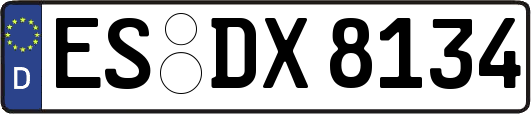 ES-DX8134