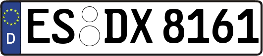 ES-DX8161