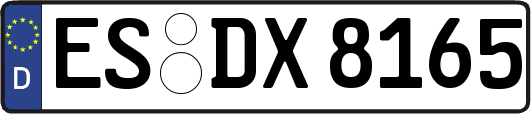 ES-DX8165