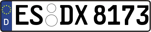 ES-DX8173