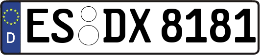 ES-DX8181
