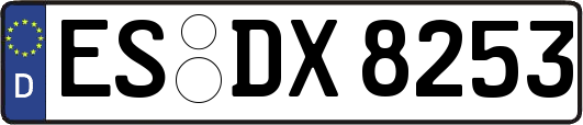 ES-DX8253