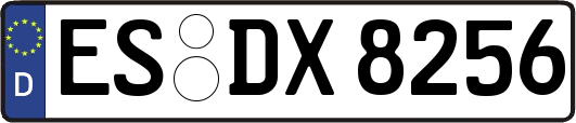 ES-DX8256