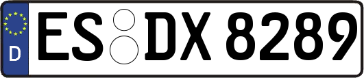 ES-DX8289
