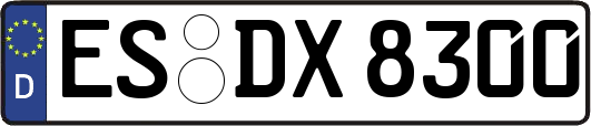 ES-DX8300