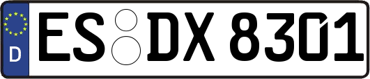 ES-DX8301
