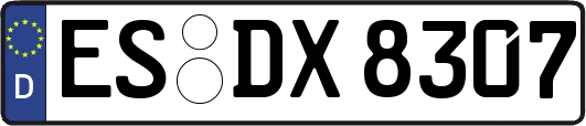ES-DX8307
