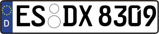 ES-DX8309