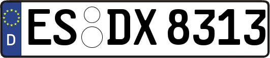 ES-DX8313