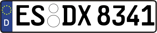 ES-DX8341
