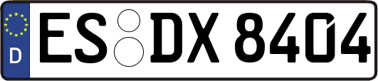 ES-DX8404