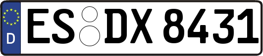 ES-DX8431