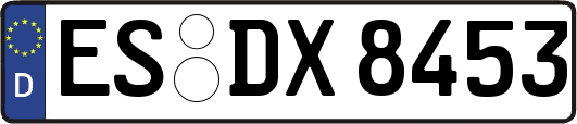 ES-DX8453