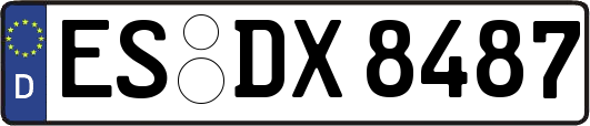 ES-DX8487