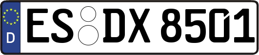 ES-DX8501
