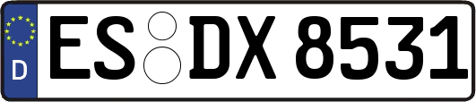 ES-DX8531