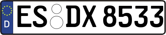 ES-DX8533