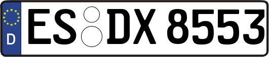ES-DX8553