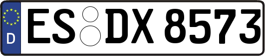 ES-DX8573