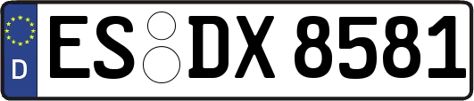 ES-DX8581
