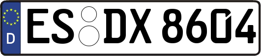 ES-DX8604