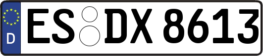 ES-DX8613