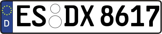 ES-DX8617