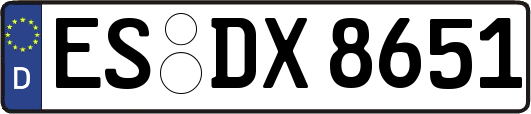 ES-DX8651