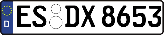 ES-DX8653