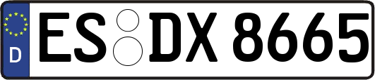 ES-DX8665