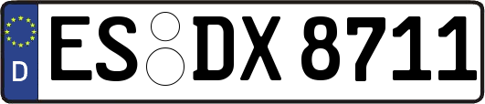 ES-DX8711