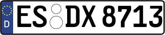 ES-DX8713
