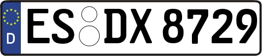 ES-DX8729