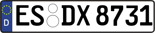 ES-DX8731