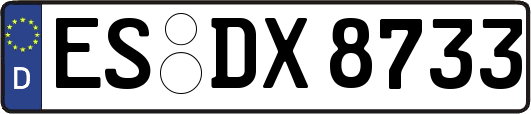ES-DX8733
