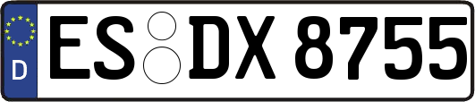 ES-DX8755