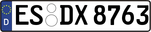 ES-DX8763