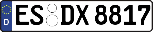 ES-DX8817