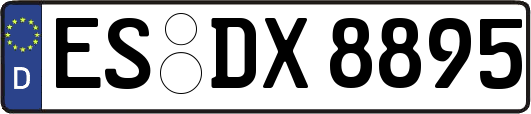 ES-DX8895