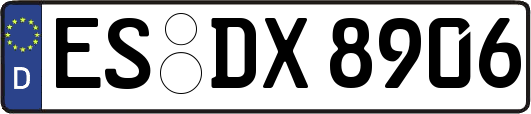ES-DX8906