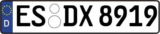 ES-DX8919