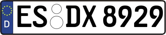 ES-DX8929