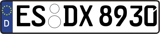 ES-DX8930