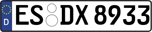 ES-DX8933