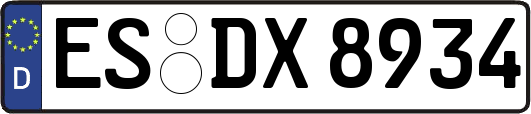 ES-DX8934