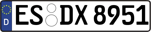 ES-DX8951