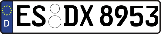 ES-DX8953