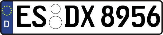 ES-DX8956