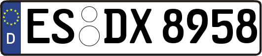 ES-DX8958