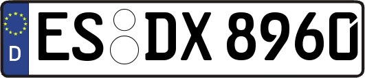 ES-DX8960